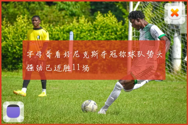 字母哥看好尼克斯夺冠称球队势头强劲已连胜11场